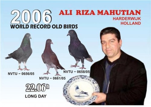 alireza mahutian tipplers