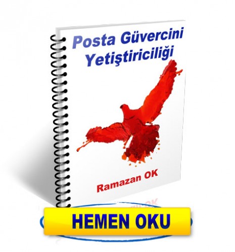 PG-kitap-cover-hemenoku