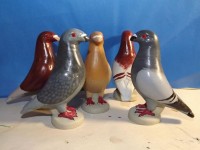 pigeon biblo 002
