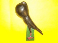 pigeon biblo 003