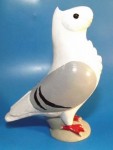 pigeon biblo 018