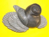 pigeon biblo 020