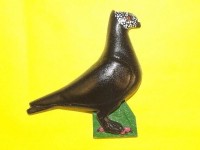 pigeon biblo 022