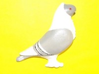 pigeon biblo 023