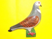 pigeon biblo 024