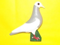 pigeon biblo 026