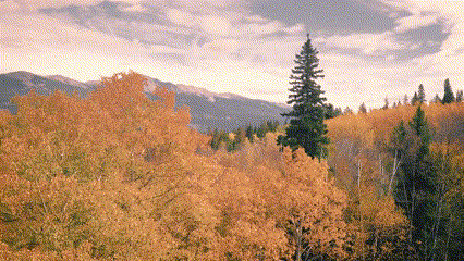 5b63f3597ab56ba931d8307a44d5873b Clipchamp’teki pastel rüyalar filtresinin bir GIF’i.