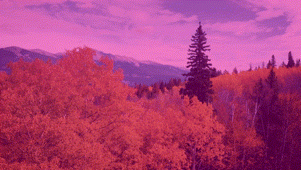 6904847d76a62b04920eed28c580047c Clipchamp’teki renk katmanı filtrelerinin GIF’i.