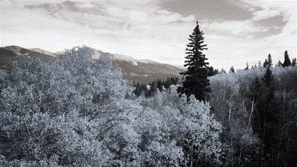 72ab0bf08dd435241aaa31fff33d00b7 Clipchamp’teki siyah beyaz filtrenin bir GIF’i.