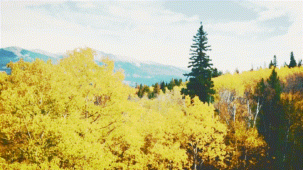 de57dc5fa24eee80e53e742377a9d891 Clipchamp’teki retro filtresinin bir GIF’i.